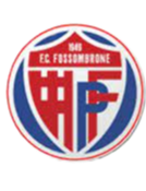 https://img.vivianfrench.com/img/football/team/716538f8ce647982665ad98c59e7f663.png